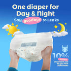Bundle of 6 Packs