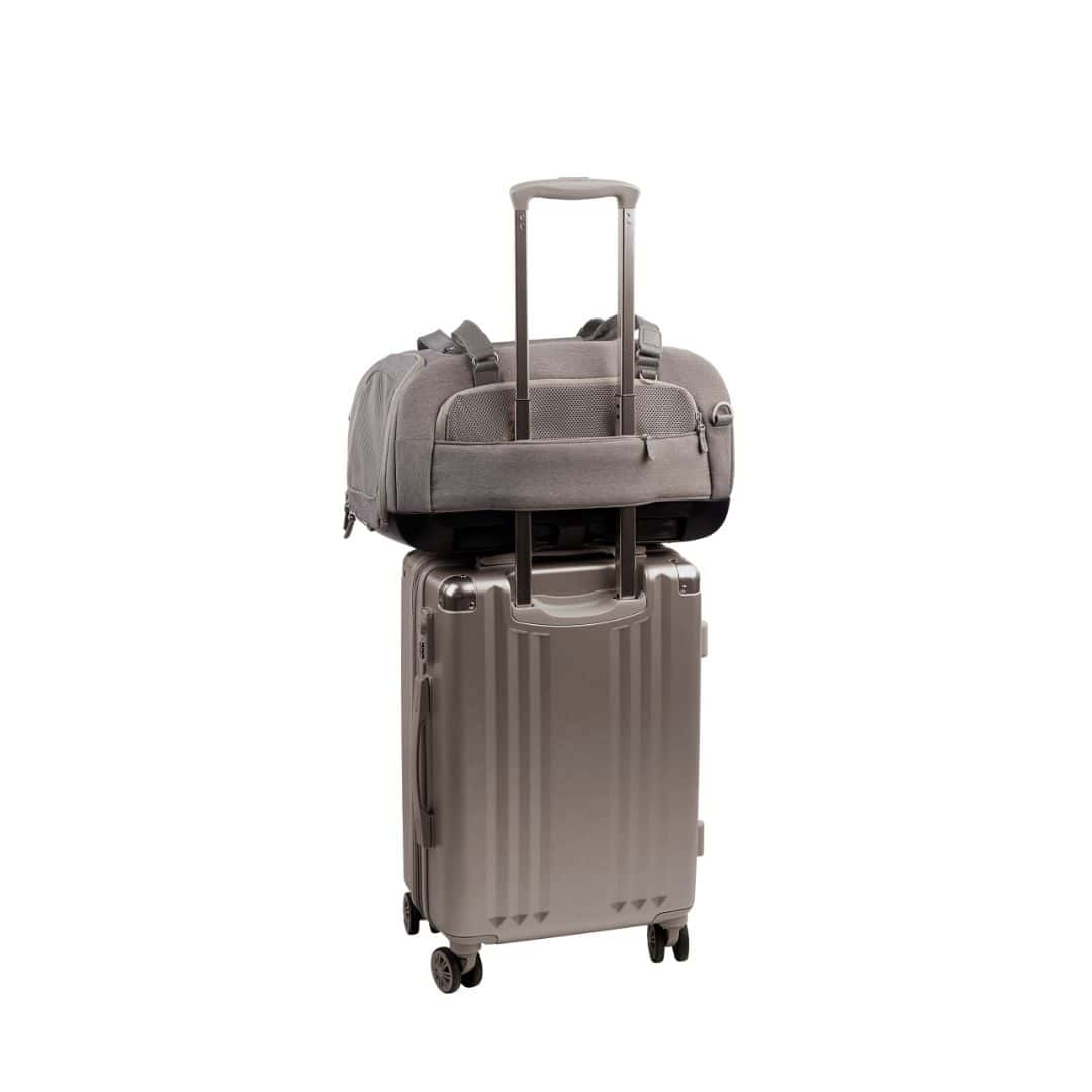 TAVO Dupree II Airline Pet Carrier & Car Seat
