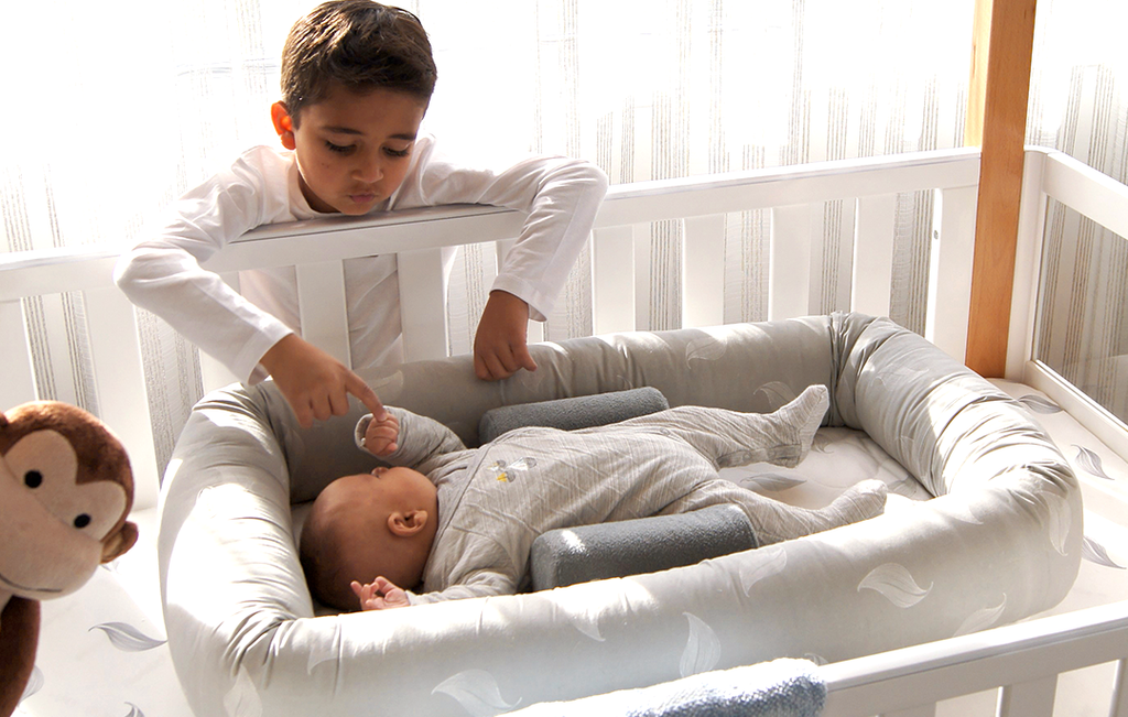 Sleep Positioner