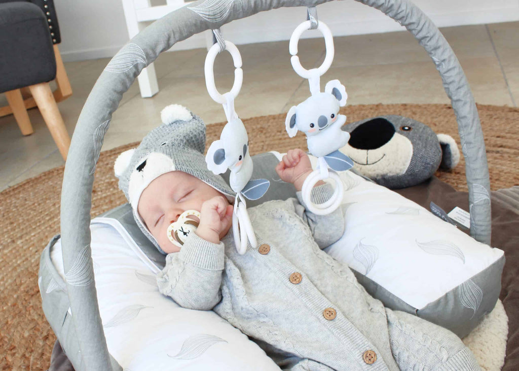 Organic Nursing Pillow with Toy Bar