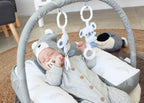 Organic Nursing Pillow with Toy Bar