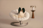 TAVO Shell Pet Bed & Sway Lounger