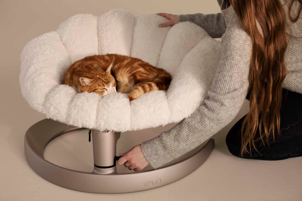 TAVO Shell Pet Bed & Sway Lounger