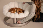 TAVO Shell Pet Bed & Sway Lounger