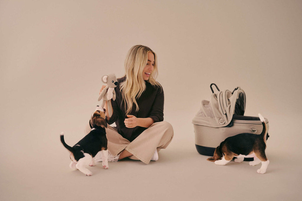TAVO Maeve ISO5x Wind Pet Carseat