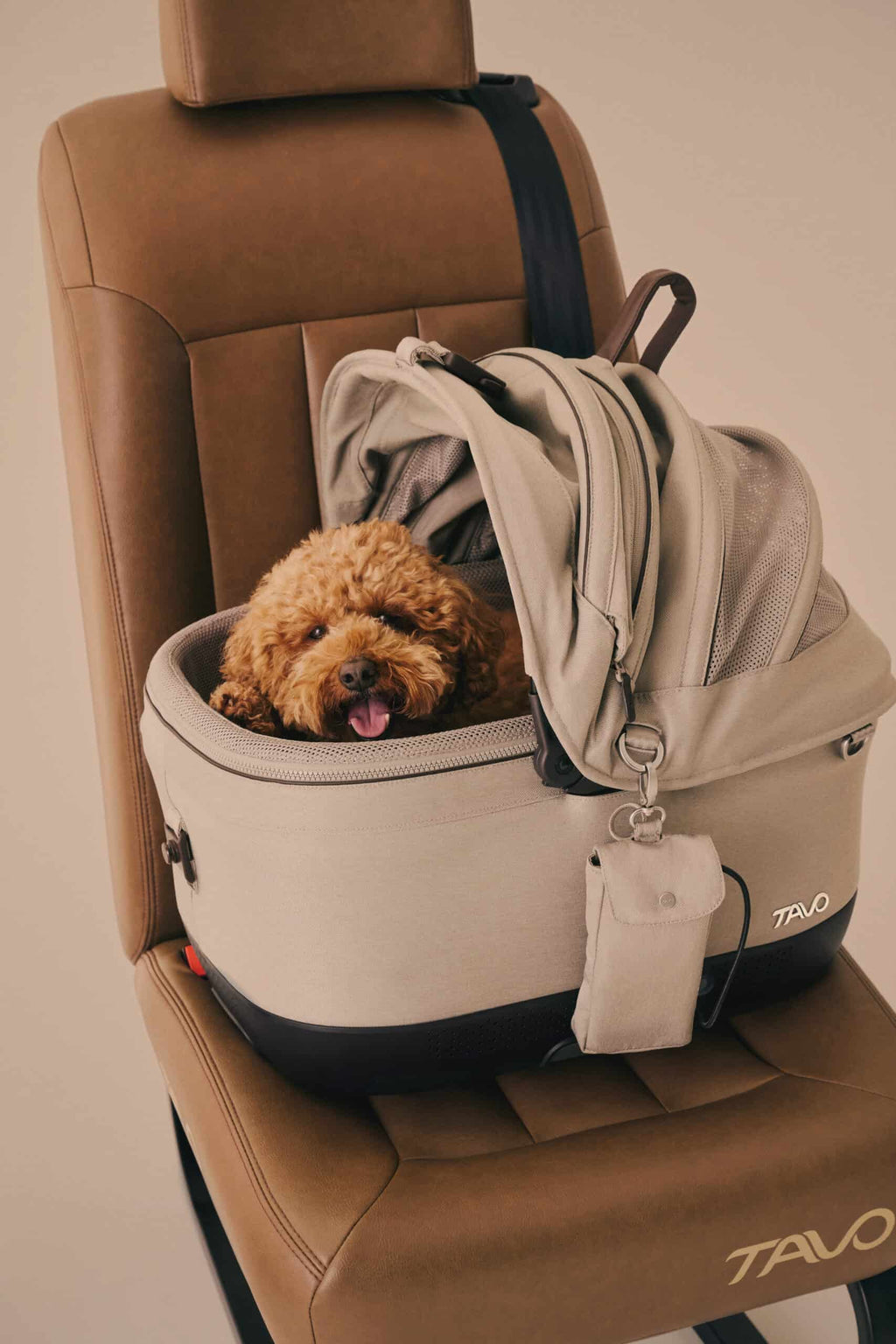 TAVO Maeve ISO5x Wind Pet Carseat