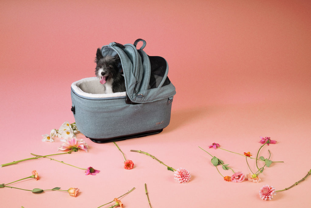 TAVO Maeve 5X Small Sized Pet Car Seat with ISOFIX Base