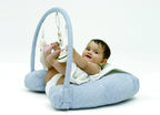 Nursing Pillow with Toybar