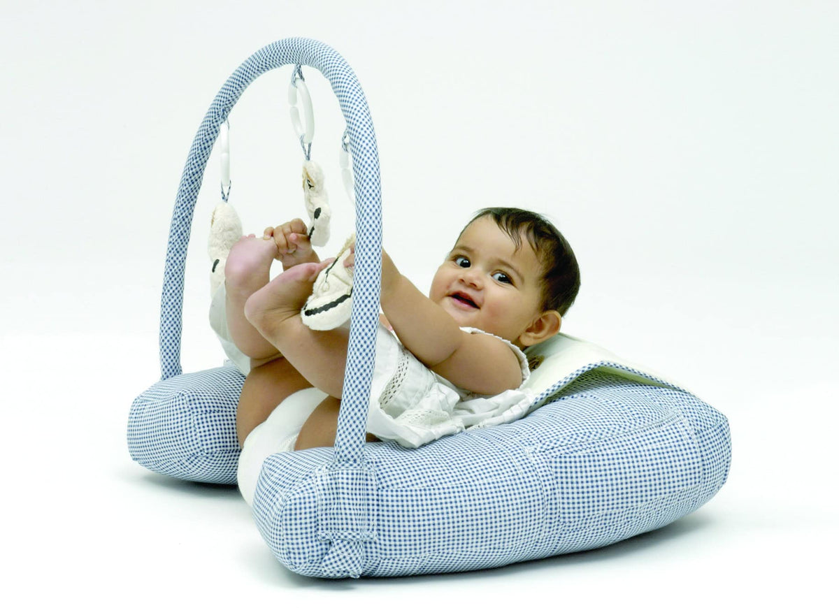 Nursing Pillow with Toybar